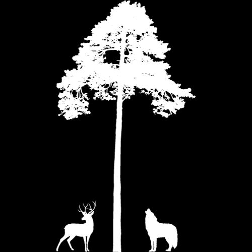 A deer and a wolf underneath a tall tree